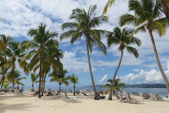 Whale Watching and Bacardi Island day trip from Punta Cana - Who will get the most from this excursion