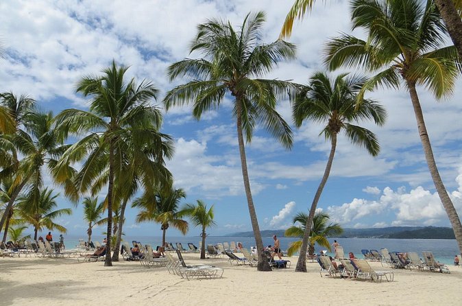 Whale Watching and Bacardi Island day trip from Punta Cana - Booking and cancellation details
