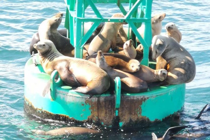 Whale Watching and Fishing Combination Excursions - Making the small-group format work for you