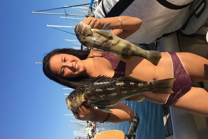 Whale Watching and Fishing Combination Excursions - A practical look at the possible drawbacks