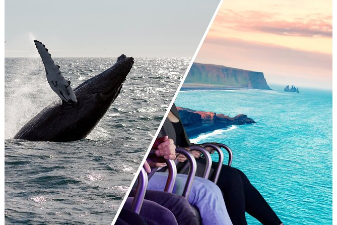 Whale Watching And Fly Over Iceland Guided Tour - Two very different ways to see Iceland