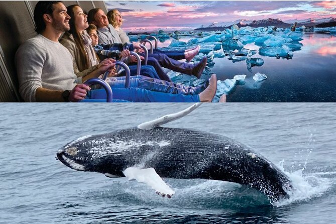 Whale Watching And Fly Over Iceland Guided Tour - What the whale-watching schedule means for your day