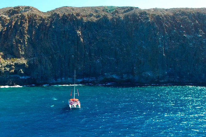 Whale Watching and Listening Eco Catamaran Tour with Food Tasting - Looking for pilot whales and dolphins in open water