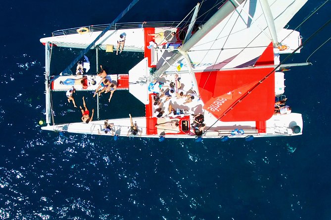 Whale Watching and Listening Eco Catamaran Tour with Food Tasting - Lunch, drinks, and the value of $71.35