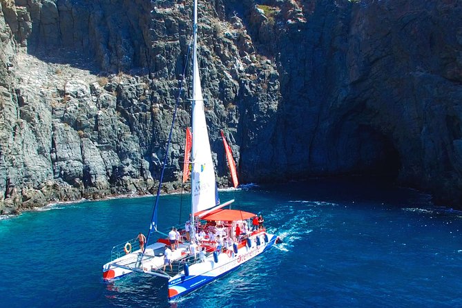 Whale Watching and Listening Eco Catamaran Tour with Food Tasting - Cancellation and booking timing