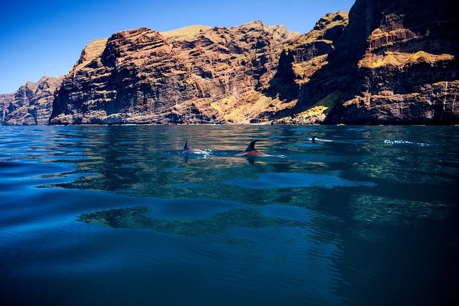 Whale watching and listening Eco-Catamaran Tour with Food Tasting - Practical details that can make the day better
