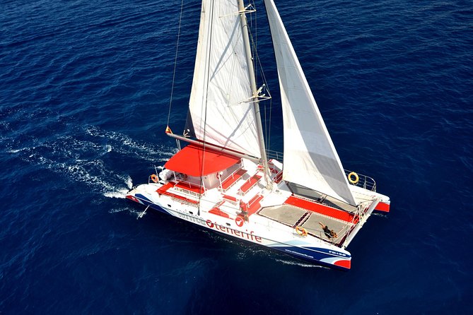 Whale watching and listening Eco-Catamaran Tour with Food Tasting - The wildlife search: patient, exciting, and never guaranteed