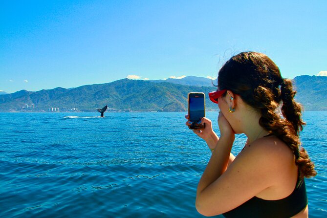 Whale Watching and Los Arcos 5 Islands Adventure - Why this tour works as a Puerto Vallarta half-day