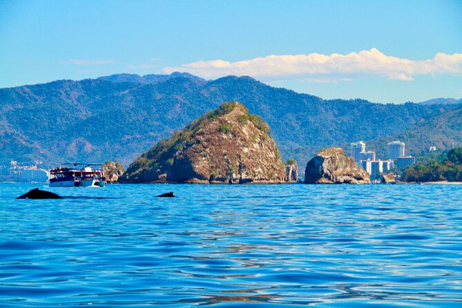 Whale Watching and Los Arcos 5 Islands Adventure - Starting at Playa Mismaloya