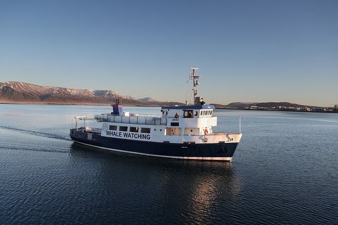 Whale Watching and Marine Life Tour in Reykjavik - Leaving from Reykjavik’s Old Harbour