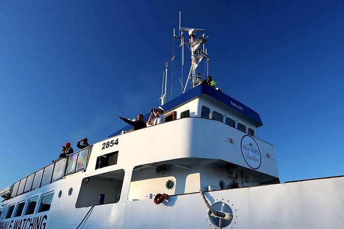 Whale Watching and Marine Life Tour in Reykjavik - Finding humpbacks in the bay