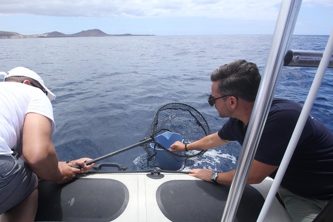 Whale Watching and Marine Science Tour - Why the early departure may be worth choosing