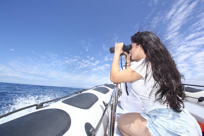 Whale Watching and Marine Science Tour - Weather, cancellation, and timing details