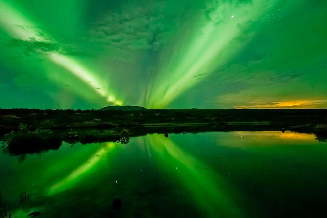 Whale Watching and Northern Lights Half-Day Combo Tour - Group size and comfort