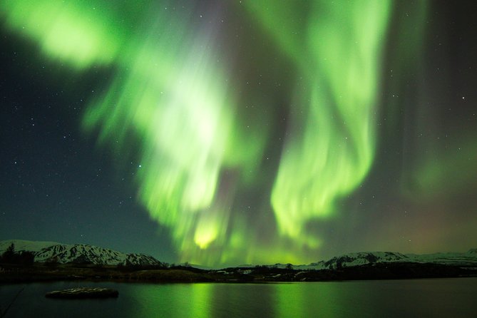 Whale Watching and Northern Lights Half-Day Combo Tour - Whale watching from Reykjavik harbor