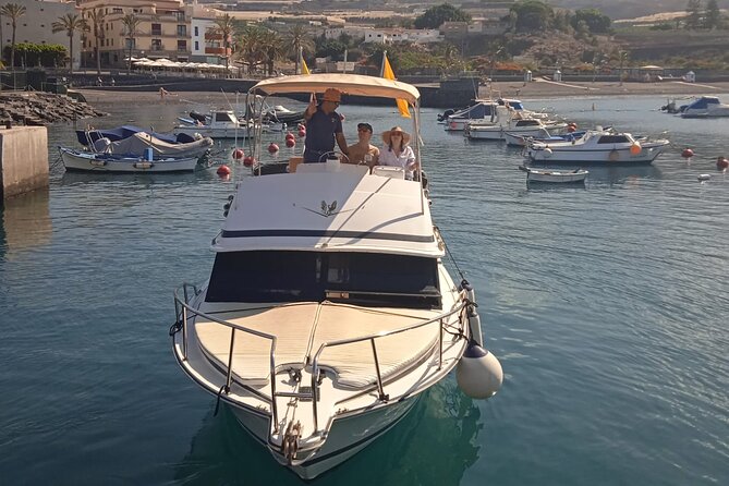 Whale watching and snorkelling in the whale sanctuary - A swim and snorkel stop at Agua Dulce