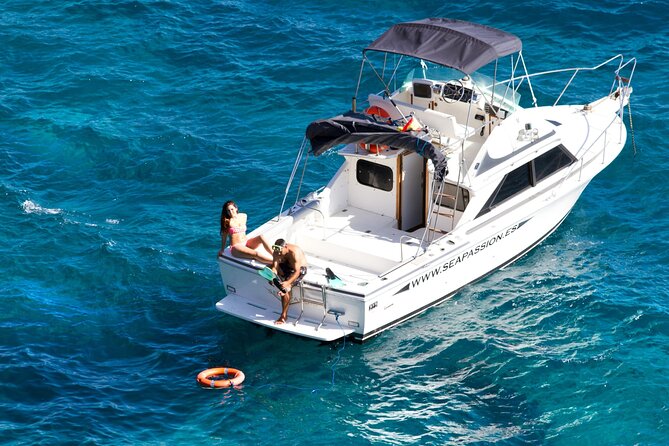 Whale watching and snorkelling in the whale sanctuary - Timing, weather, and cancellation details