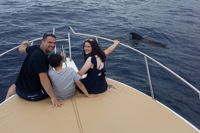 Whale watching and snorkelling in the whale sanctuary - Following the coast toward Isorana’s cliffs