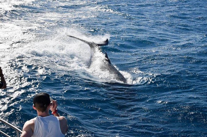 Whale Watching and Wildlife Cruise Townsville and Magnetic Island - Who will enjoy this cruise most?