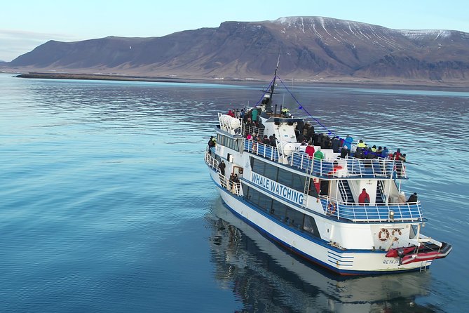 Whale-Watching Boat Tour with Expert Guide from Reykjavik - Leaving Reykjavik’s Old Harbor for Faxaflói Bay