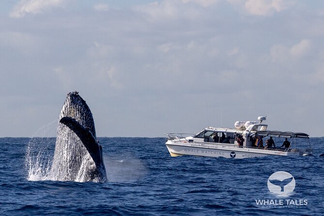 Whale Watching Boat Trip in Sydney - Leaving Darling Harbour beneath the Harbour Bridge