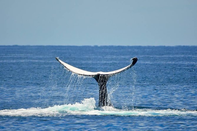 Whale Watching Busselton - Setting out from Port Geographe Marina