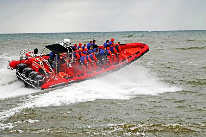 Whale Watching by RIB Speedboat from Downtown Reykjavik - Why the small RIB changes the whale-watching experience