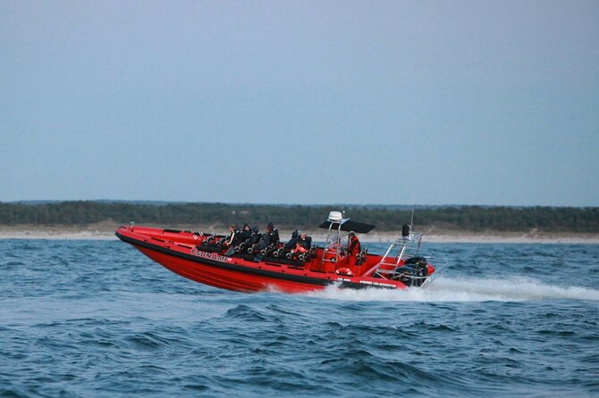 Whale Watching by RIB Speedboat from Downtown Reykjavik - How the two-hour route feels in practice