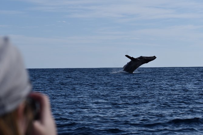 Whale Watching Cabo-Women crew-Sightings Guaranteed & Free Photos - Price and overall value at $100.15