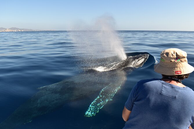 Whale Watching Cabo-Women crew-Sightings Guaranteed & Free Photos - Why humpback season makes Cabo special
