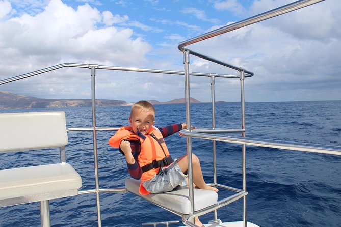 Whale Watching Catamaran Cruise with Transfer, Buffet by MC - Why the small group matters