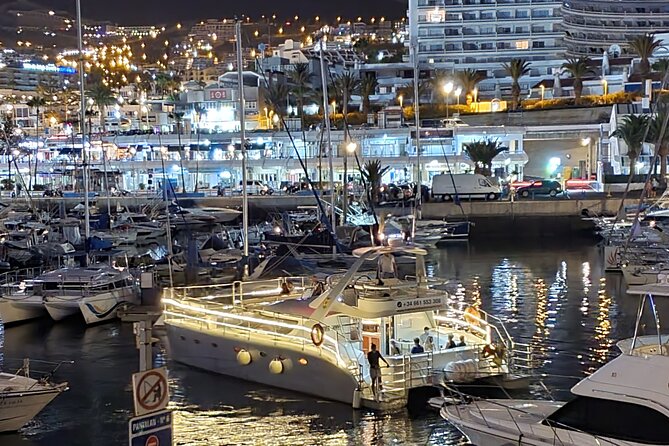 Whale Watching Catamaran Cruise with Transfer, Buffet by MC - The swimming and snorkeling stop