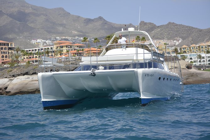 Whale Watching Catamaran Cruise with Transfer, Buffet by MC - Three hours on Tenerife’s whale coast