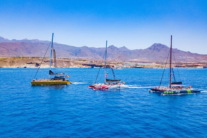 Whale Watching Catamaran in Costa Adeje (Including drinks & Sandwich) - Sandwiches, drinks, and onboard extras