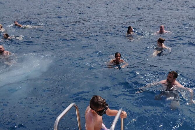 Whale Watching Catamaran in Costa Adeje (Including drinks & Sandwich) - Comfort, seasickness, and the family factor