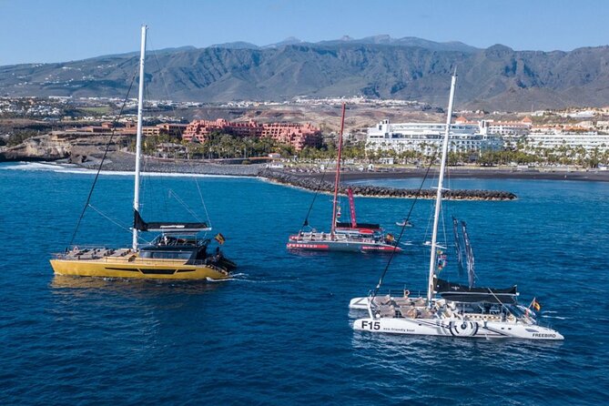 Whale Watching Catamaran in Costa Adeje (Including drinks & Sandwich) - Is $56.72 good value?
