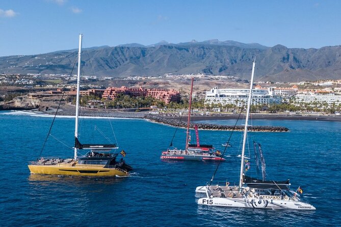 Whale Watching Catamaran to Los Gigantes & Masca (Including drinks & warm lunch) - Deck space, sun beds, and comfort