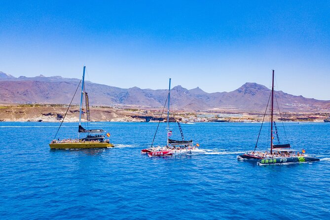 Whale Watching Catamaran to Los Gigantes & Masca (Including drinks & warm lunch) - Wildlife watching without false promises