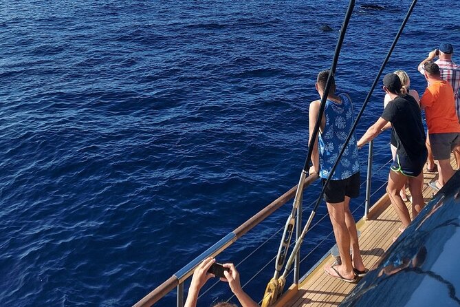 Whale Watching Catamaran to Los Gigantes & Masca (Including drinks & warm lunch) - Who will enjoy this catamaran most