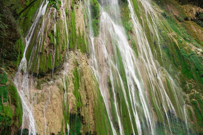 Whale Watching, Cayo Levantado and Limón Waterfall in Samaná - La Canita gives the early start some purpose