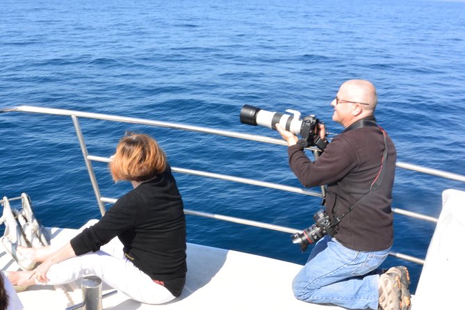 Whale Watching Cruise from Mooloolaba - The crew and the educational side