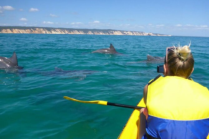 Whale Watching Cruise from Mooloolaba - What the $71 price buys you