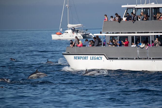 Whale-Watching Cruise from Newport Beach - A closer look at the 42 coastal reference points