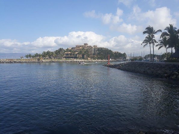 Whale Watching Cruise In Puerto Vallarta & Nuevo Vallarta - How good are the whale sightings?