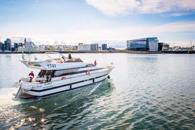 Whale Watching & Dolphin Yacht Cruise - The important points at a glance