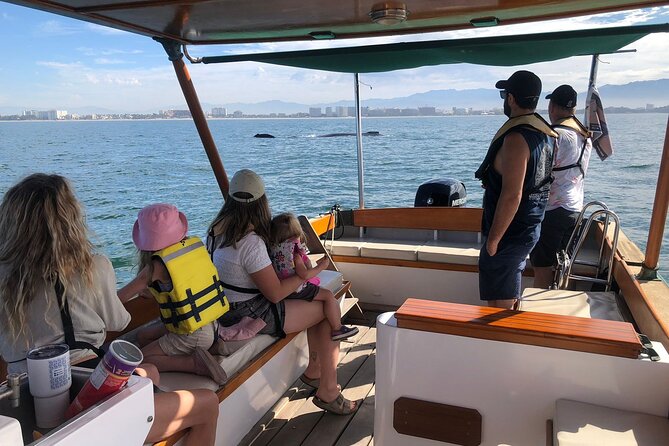 Whale Watching Experience – 4 Hours in Puerto Vallarta - Key points to know before you book