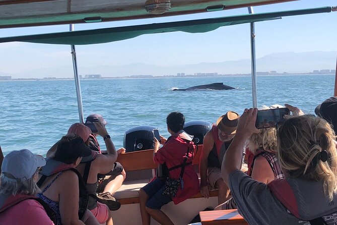 Whale Watching Experience – 4 Hours in Puerto Vallarta - Four hours on the Bay of Banderas