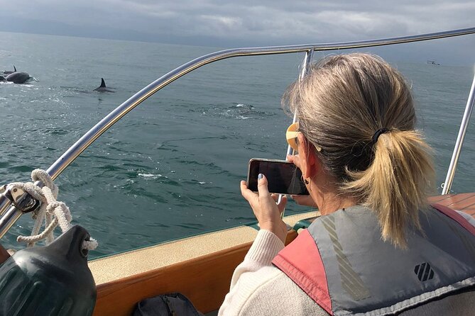 Whale Watching Experience – 4 Hours in Puerto Vallarta - The naturalist’s role in the search
