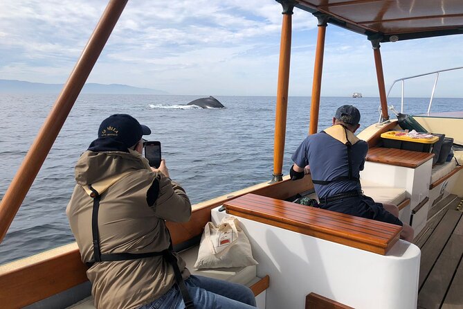 Whale Watching Experience – 4 Hours in Puerto Vallarta - How much value you get for $149.44