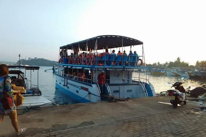 Whale Watching Experience in Mirissa - Snacks, transfers, and the real value of $70